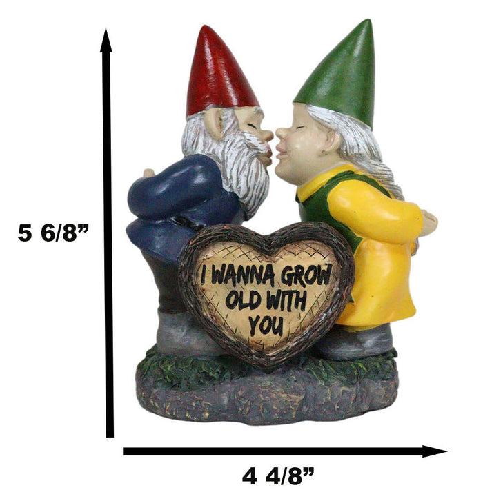 Ebros Gift Whimsical Mr Mrs Gnome Kissing By Heart Sign I Wanna Grow Old With You Figurine