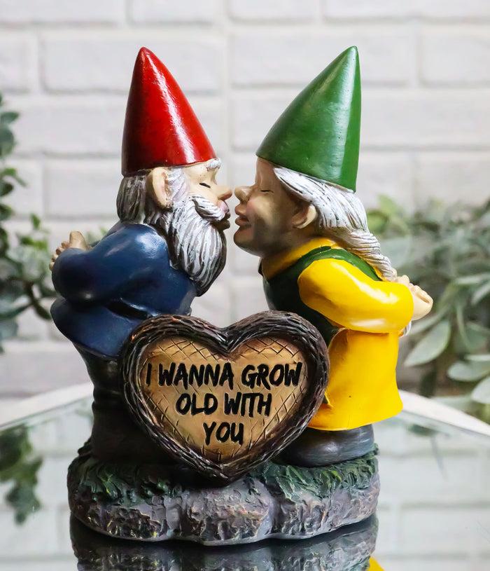 ebros gift Whimsical Mr Mrs Gnome Kissing By Heart Sign I Wanna Grow Old With You Figurine