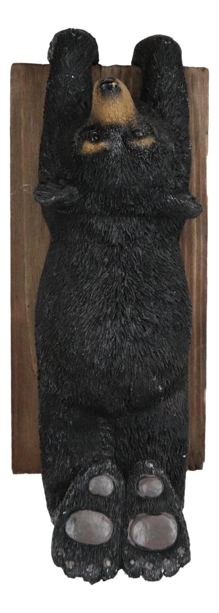 Ebros Gift Whimsical Rustic Western Black Bear Clinging On Faux Wood Plank Wall Coat Hook