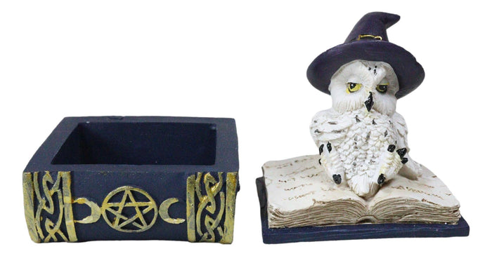 Ebros Gift White Snow Owl With Witch Hat Resting On Triple Moon Blue Spell Book Trinket Box