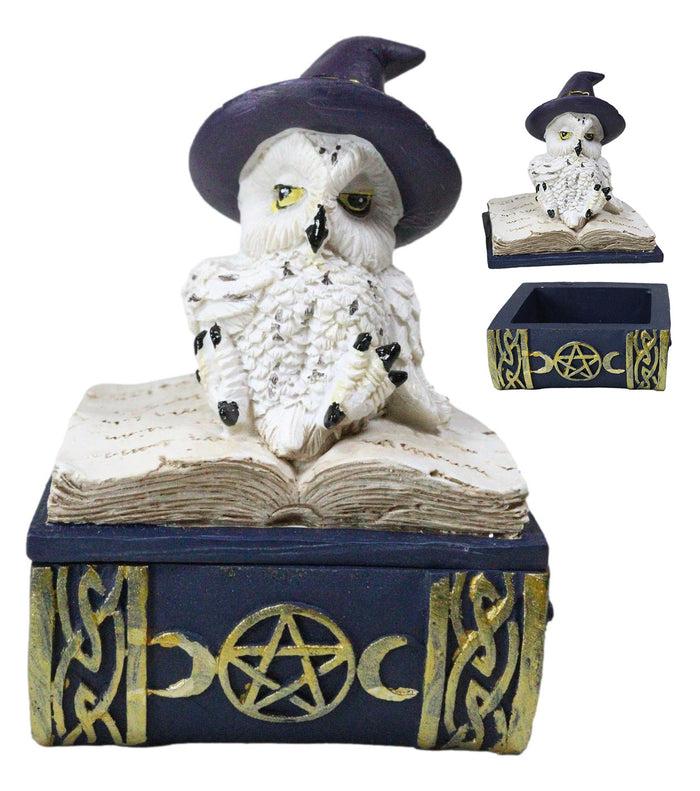ebros gift White Snow Owl With Witch Hat Resting On Triple Moon Blue Spell Book Trinket Box