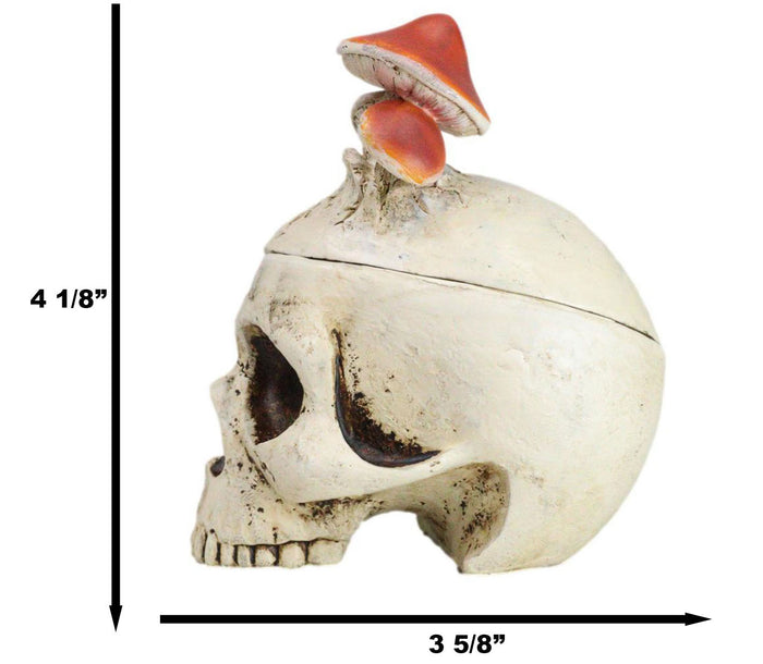 Ebros Gift Wicca Gothic Toadstool Mushrooms And Fungi Skull Decorative Trinket Box Figurine