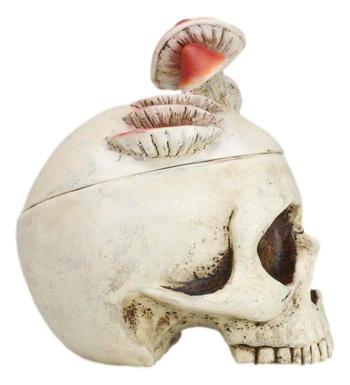 Ebros Gift Wicca Gothic Toadstool Mushrooms And Fungi Skull Decorative Trinket Box Figurine