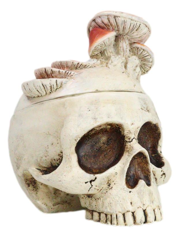 Ebros Gift Wicca Gothic Toadstool Mushrooms And Fungi Skull Decorative Trinket Box Figurine