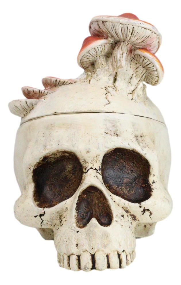 ebros gift Wicca Gothic Toadstool Mushrooms And Fungi Skull Decorative Trinket Box Figurine