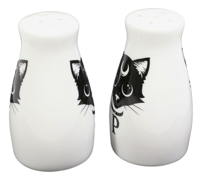 Ebros Gift Wicca Magic Sacred Cats Pentacle Crescent Moon Ceramic Salt N Pepper Shakers Set