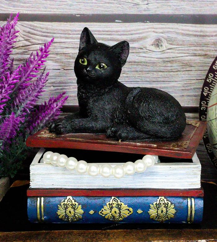 Ebros Gift Wicca Mystical Black Cat Sitting On Book Of Spells Stack Decorative Jewelry Box