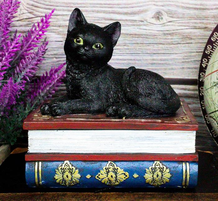 ebros gift Wicca Mystical Black Cat Sitting On Book Of Spells Stack Decorative Jewelry Box