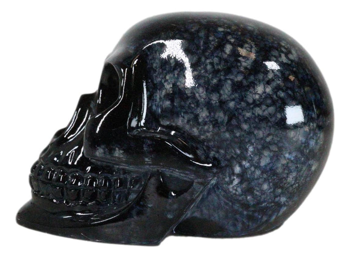 Ebros Gift Wicca Witchcraft Magic Black Translucent Acrylic Crystal Gazing Skull Figurine