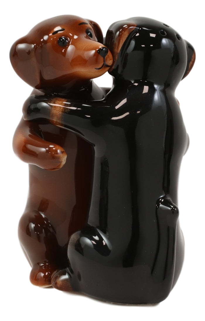 Ebros Gift Wiener First Dance Dachshund Dogs Hugging Salt And Pepper Shakers Figurine Set