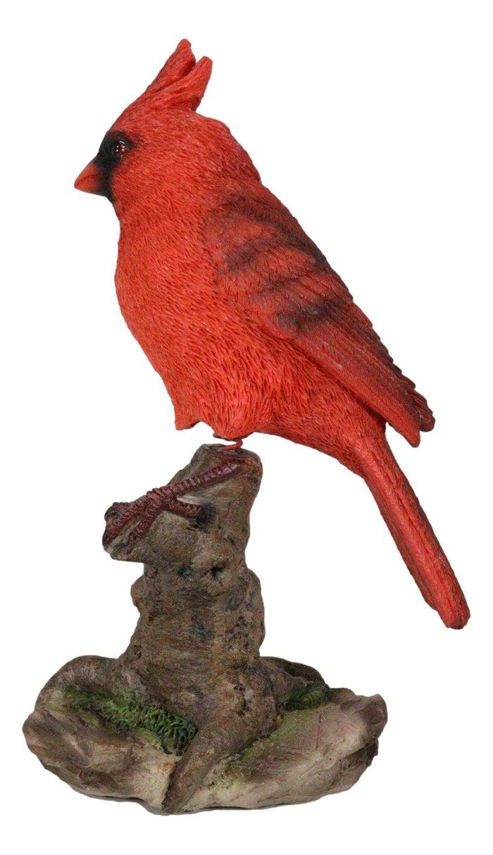 Ebros Gift Wild Northern Red Cardinal Bird Perching On Tree Stump Spring Bouncing Figurine
