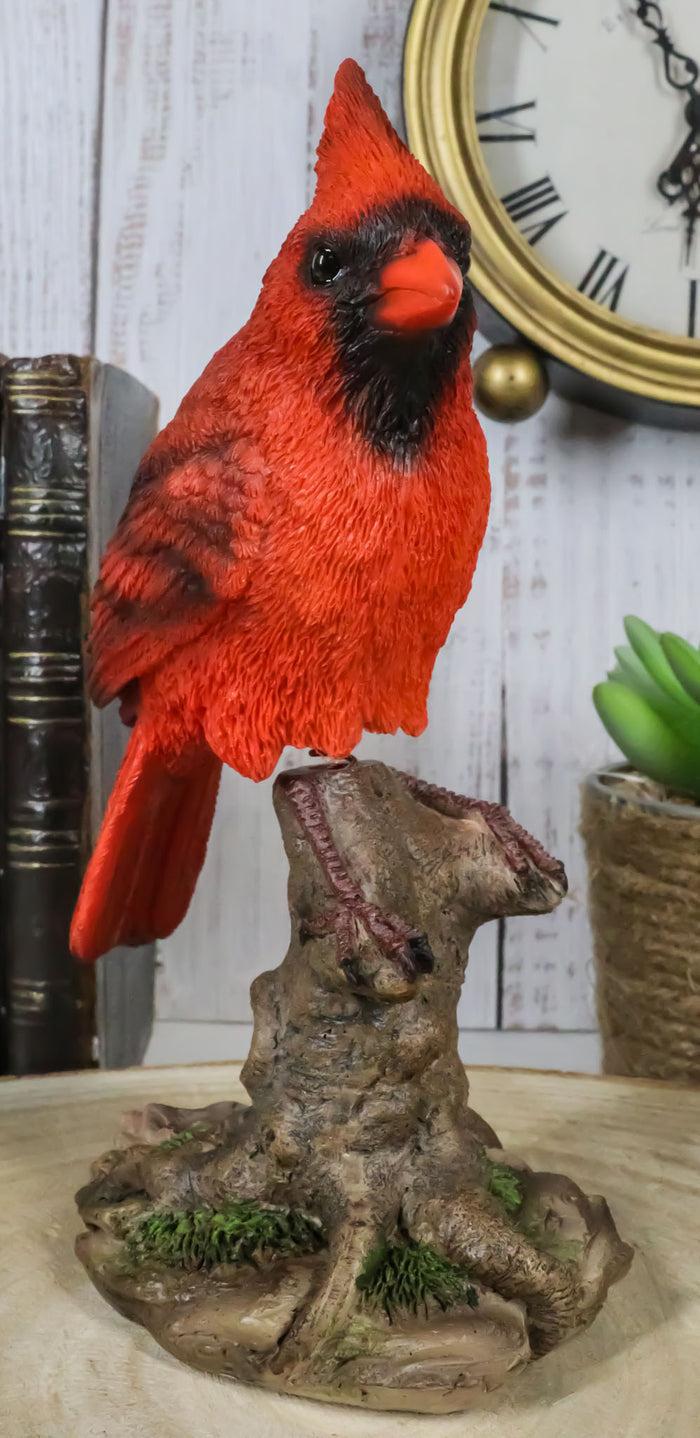 ebros gift Wild Northern Red Cardinal Bird Perching on Tree Stump Spring Bouncing Figurine