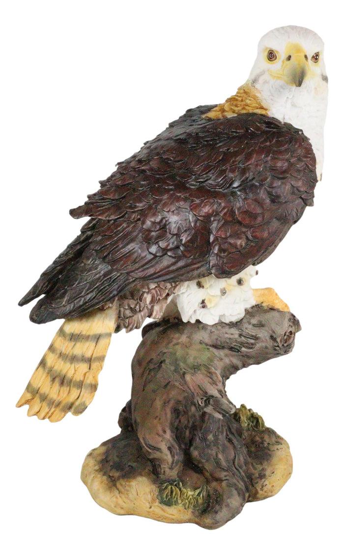 Ebros Gift Wildlife Bald Eagle On Tree Stump Statue Birds Of Prey Figurine 10"H