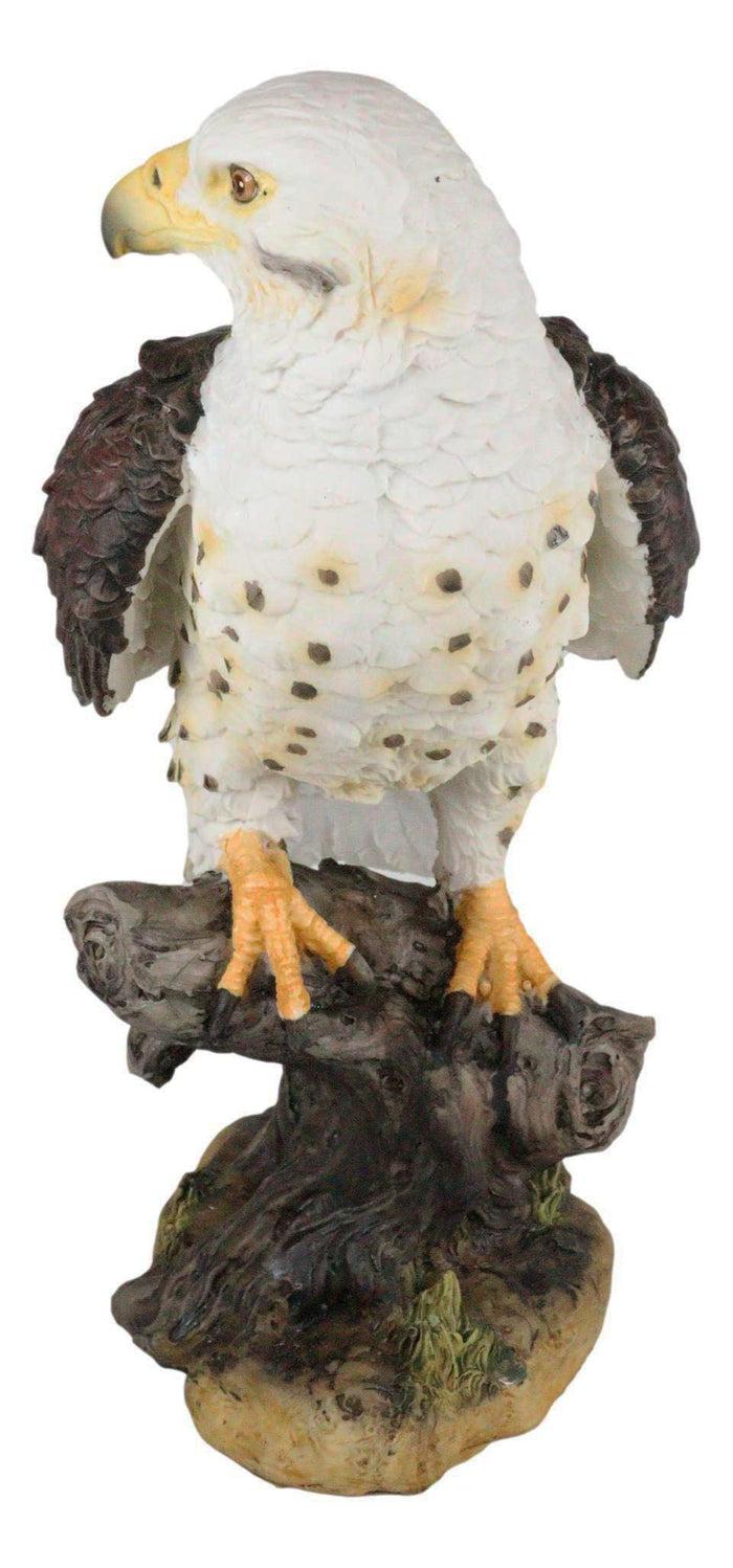Ebros Gift Wildlife Bald Eagle On Tree Stump Statue Birds Of Prey Figurine 10"H