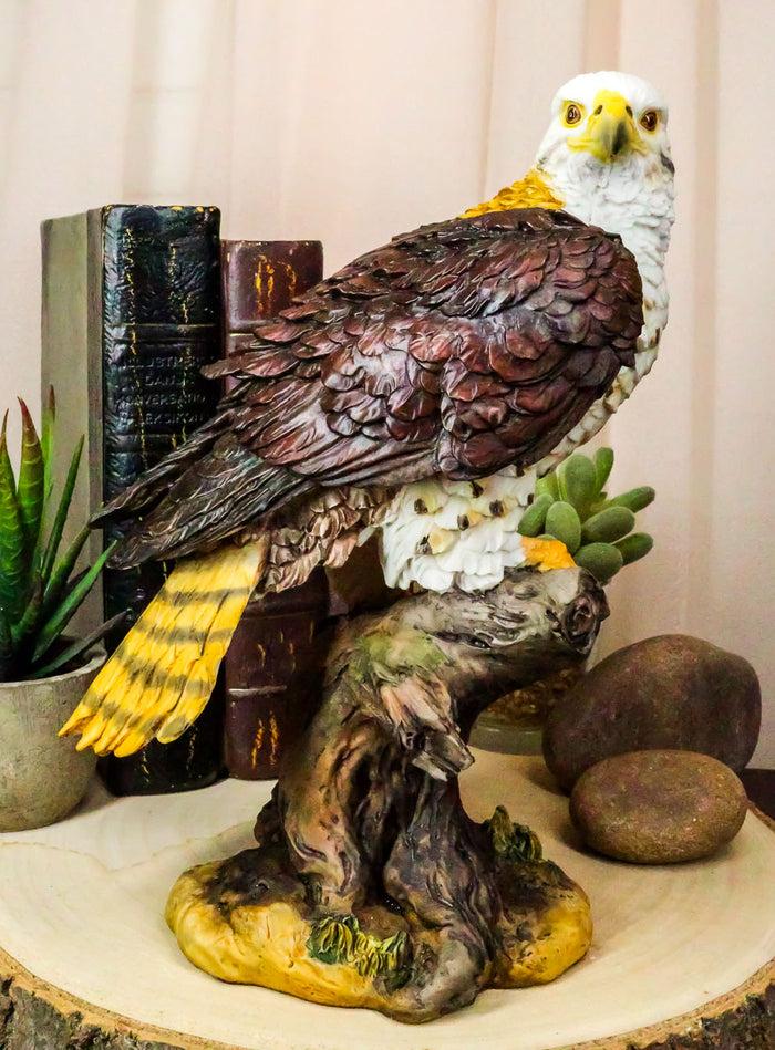 ebros gift Wildlife Bald Eagle On Tree Stump Statue Birds Of Prey Figurine 10"H