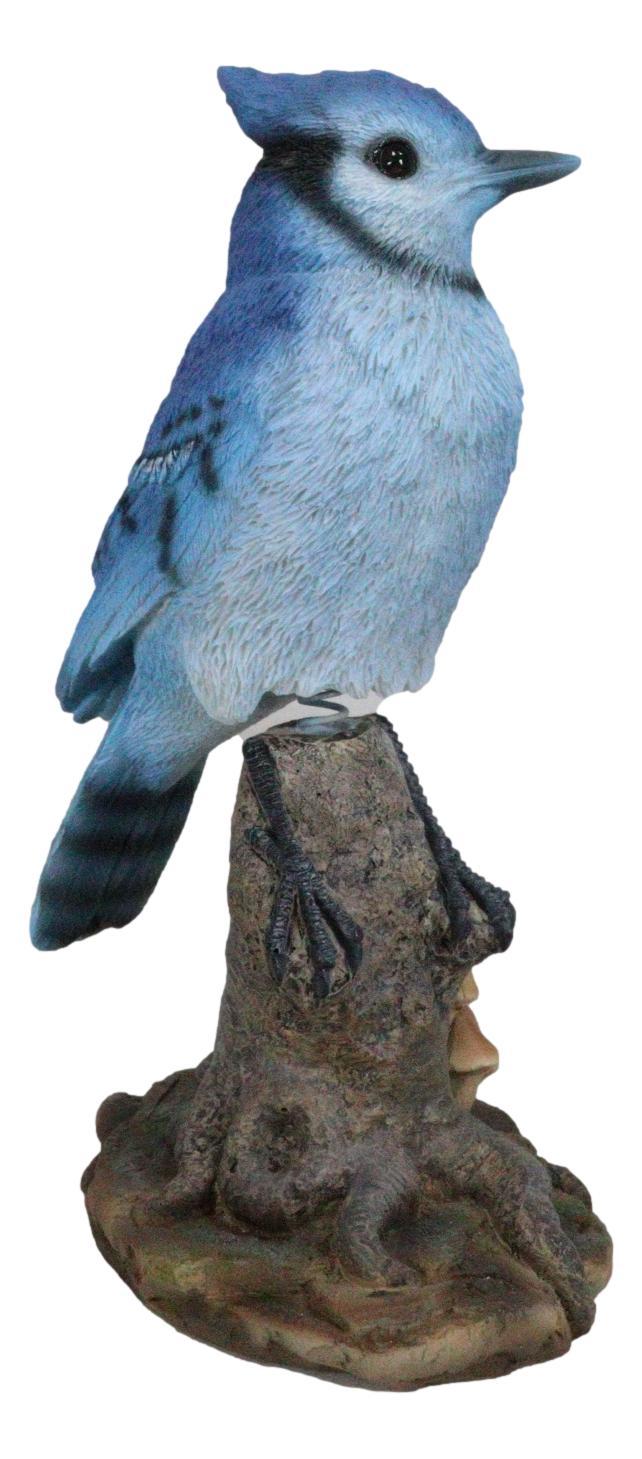 Ebros Gift Wildlife Blue Jay Passerine Bird Perching On Tree Stump Spring Bouncing Figurine