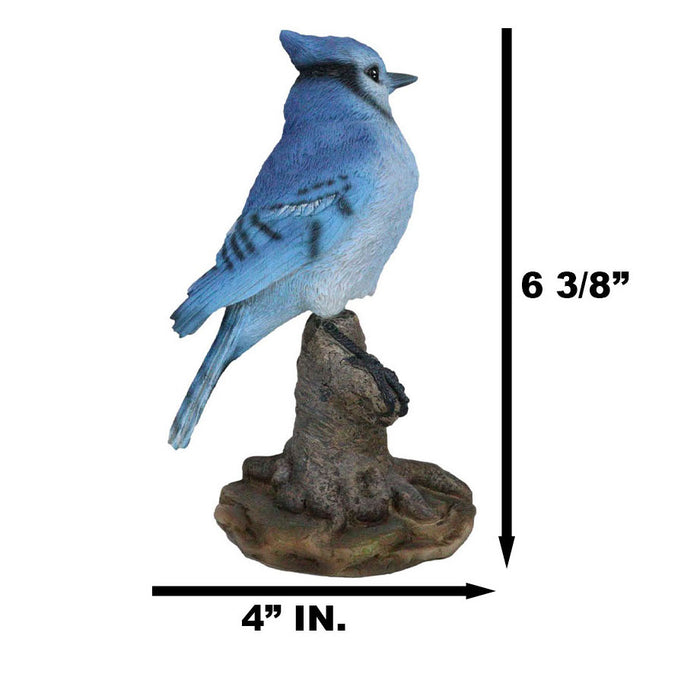 Ebros Gift Wildlife Blue Jay Passerine Bird Perching On Tree Stump Spring Bouncing Figurine
