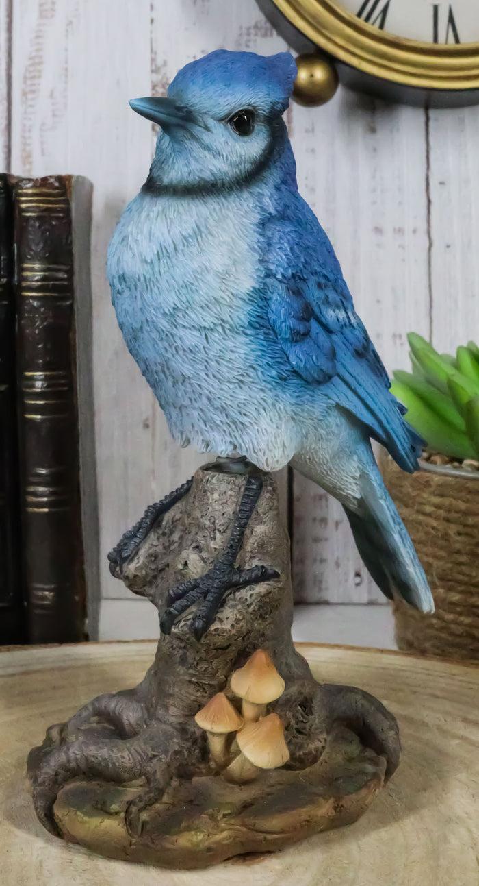ebros gift Wildlife Blue Jay Passerine Bird Perching on Tree Stump Spring Bouncing Figurine