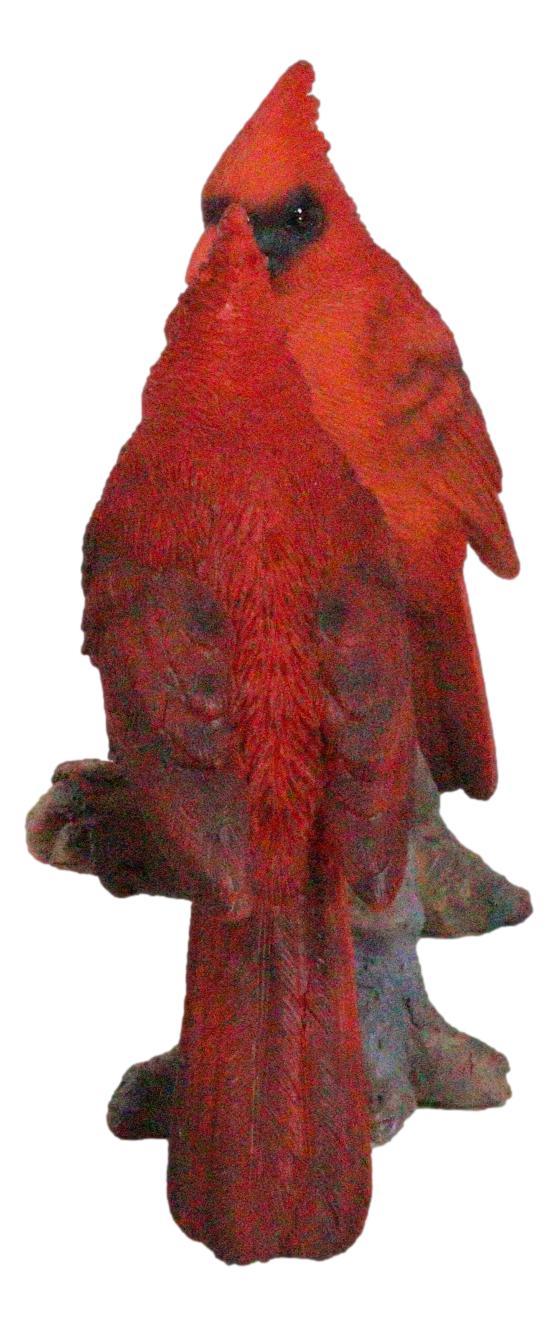 Ebros Gift Wildlife Nature 2 Northern Red Cardinal Birds Perching On Branch Figurine