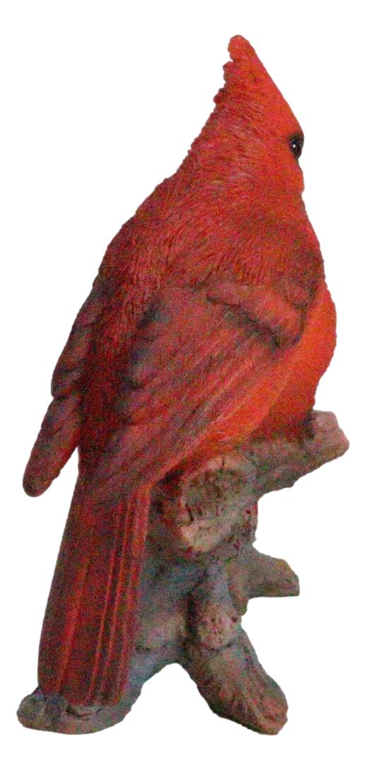 Ebros Gift Wildlife Nature 2 Northern Red Cardinal Birds Perching On Branch Figurine