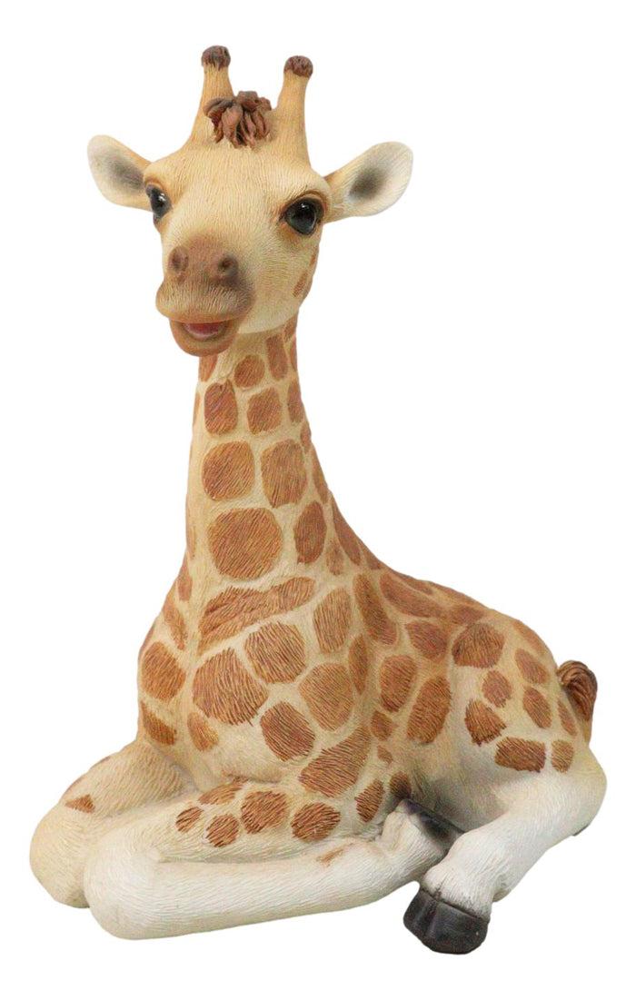 ebros gift Wildlife Safari Savannah Masai Giraffe Calf Sitting in Repose Figurine 5.75"H
