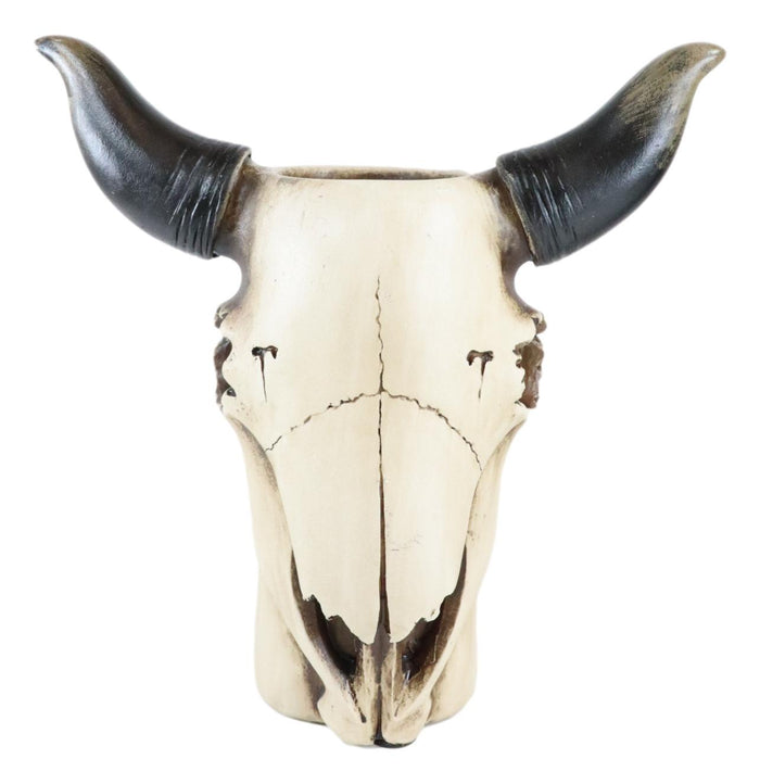 Ebros Gift Wildlife Southwestern Rustic Steer Ox Bull Cow Skull Vase Planter Decor Figurine
