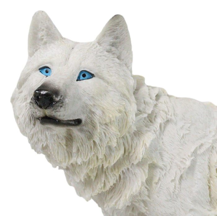 Ebros Gift Winter Forest Hunter Tundra Snow White Albino Wolf On The Prowl Figurine 11.5"L