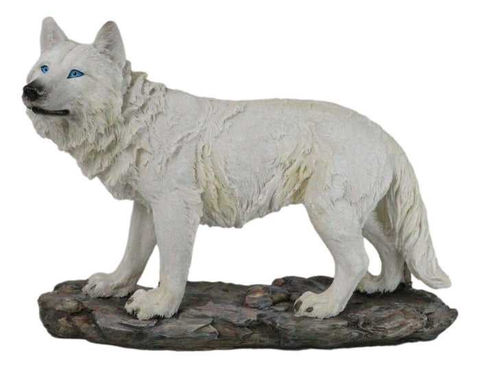 ebros gift Winter Forest Hunter Tundra Snow White Albino Wolf On The Prowl Figurine 11.5"L