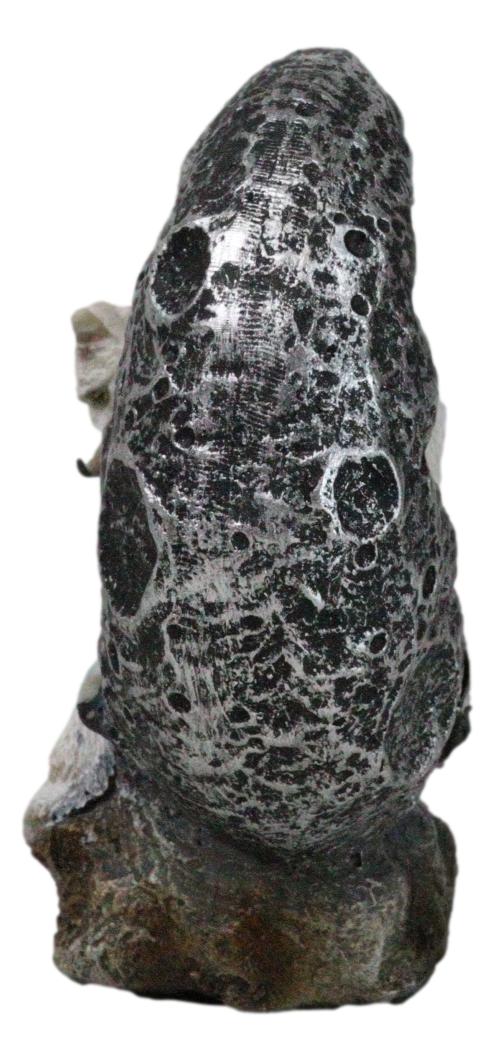 Ebros Gift Winter Snow White Wolf Mother With Pup By Snowy Crater Crescent Moon Figurine