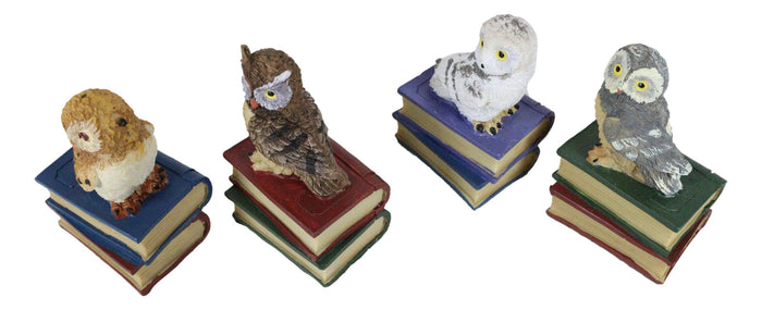Ebros Gift Wisdom Of The Forest Bibliography Owls Sitting On Books Figurine Owl Set Decors