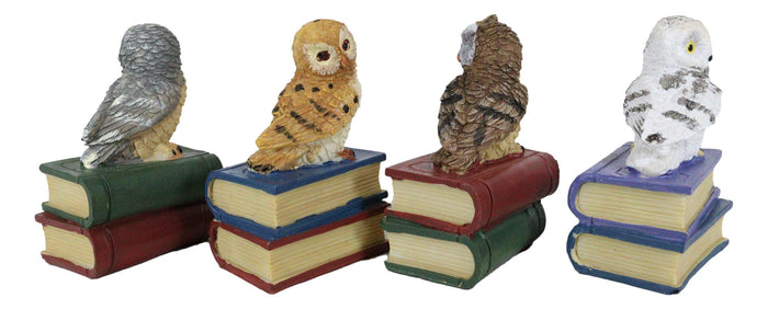 Ebros Gift Wisdom Of The Forest Bibliography Owls Sitting On Books Figurine Owl Set Decors