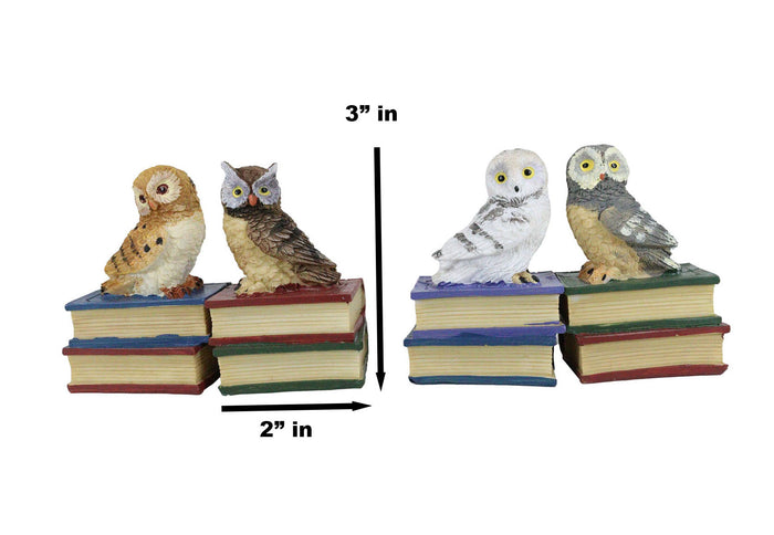 Ebros Gift Wisdom Of The Forest Bibliography Owls Sitting On Books Figurine Owl Set Decors