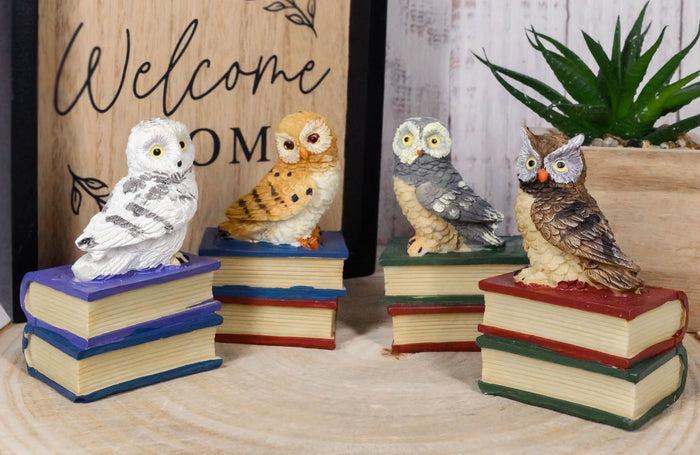 ebros gift Wisdom Of The Forest Bibliography Owls Sitting On Books Figurine Owl Set Decors