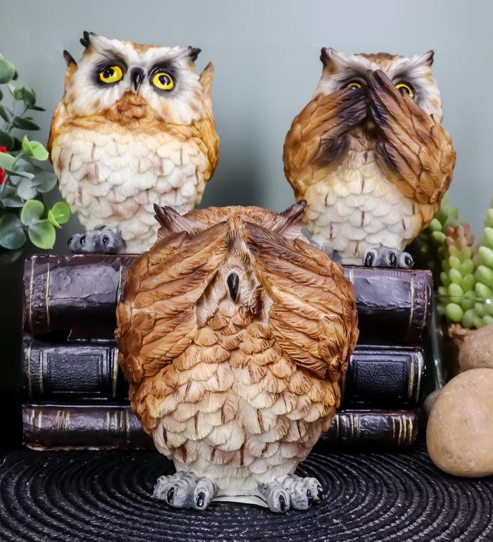 ebros gift Wisdom Of The Forest See Hear Speak No Evil Great Horned Owls Figurine Set Owl