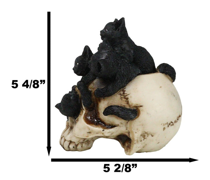 Ebros Gift Witchcraft Black Kitten Cats Perching On Arachnid Spider Web Skull Figurine
