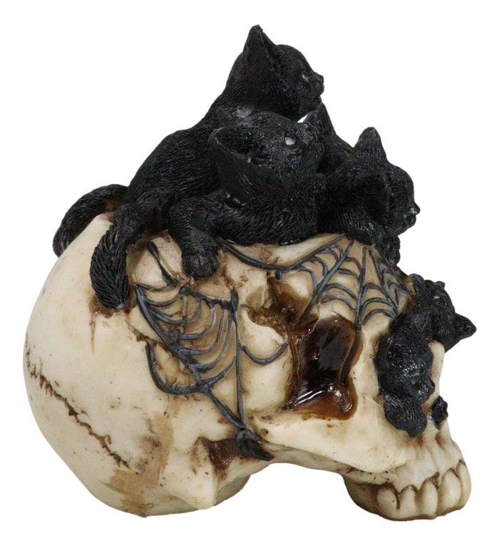 Ebros Gift Witchcraft Black Kitten Cats Perching On Arachnid Spider Web Skull Figurine