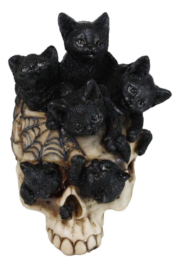 Ebros Gift Witchcraft Black Kitten Cats Perching On Arachnid Spider Web Skull Figurine