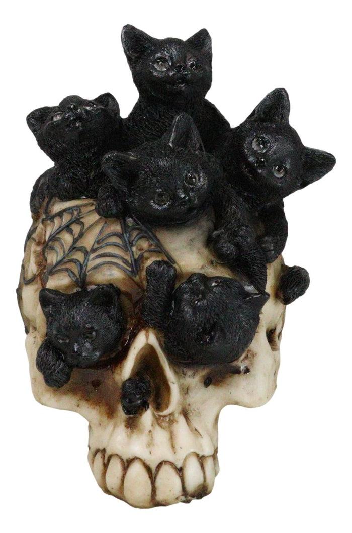 ebros gift Witchcraft Black Kitten Cats Perching On Arachnid Spider Web Skull Figurine