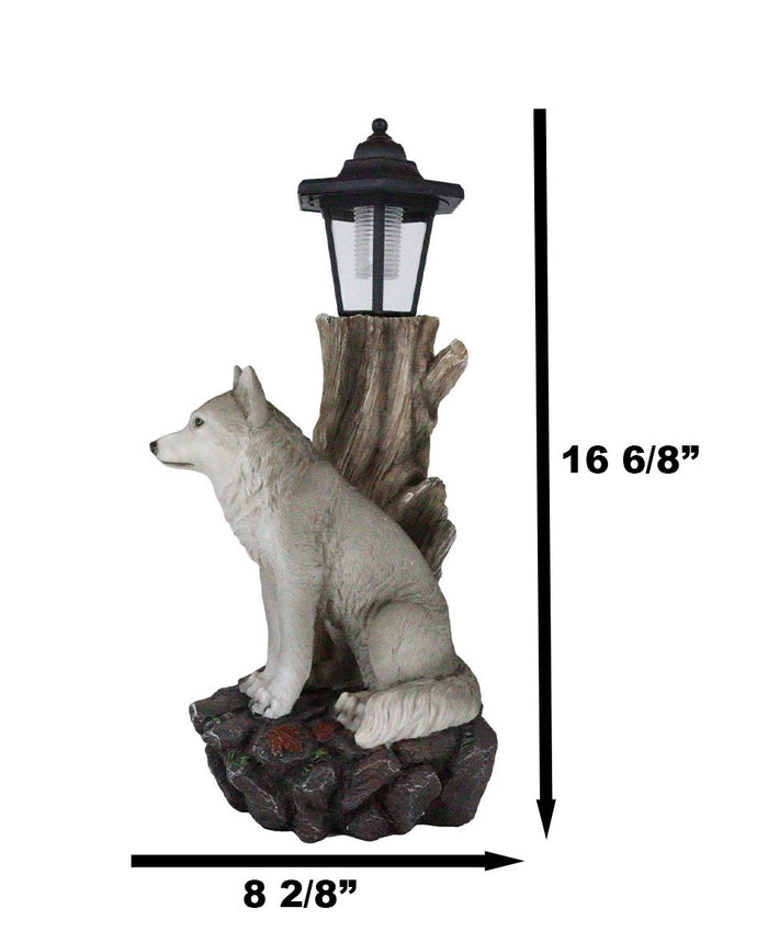 Ebros Gift Woodlands Lone Gray Wolf Greetings Figurine Solar LED Light Lantern Welcome Lamp