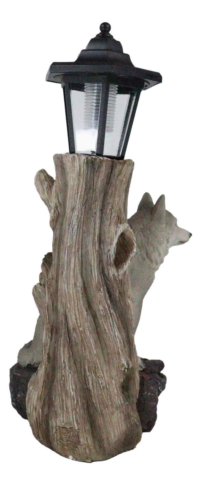 Ebros Gift Woodlands Lone Gray Wolf Greetings Figurine Solar LED Light Lantern Welcome Lamp