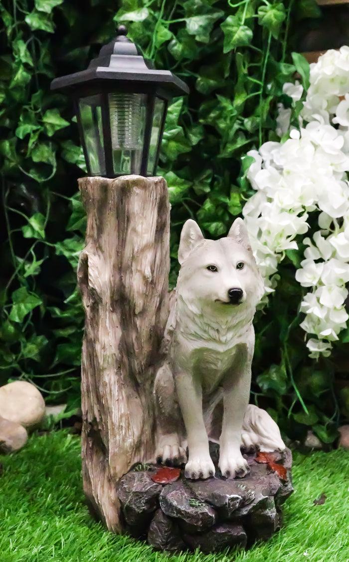ebros gift Woodlands Lone Gray Wolf Greetings Figurine Solar LED Light Lantern Welcome Lamp