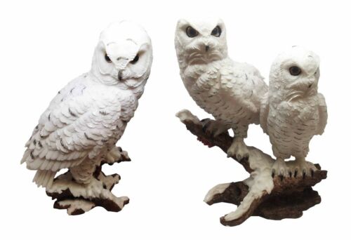 ebros gift Woodlands Night Watch White Snow Owls Perching on Tree Branch Figurine Set of 2