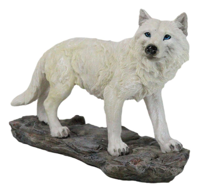 ebros gift Woodlands Winter Hunter Tundra Snow White Albino Wolf On The Prowl Figurine