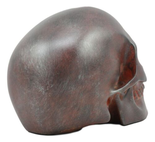 Ebros Gift World War Green Beret Army Rusted Skull Statue 7"Long Military Skeleton Cranium