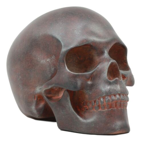 Ebros Gift World War Green Beret Army Rusted Skull Statue 7"Long Military Skeleton Cranium