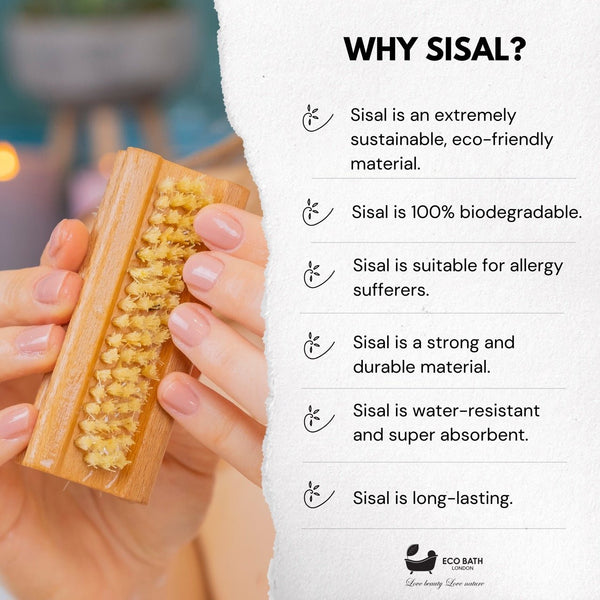 Eco Bath London Eco Bath Natural Sisal Nail Brush Collection - Available In Beech Wood Walnut Wood And Olive Wood