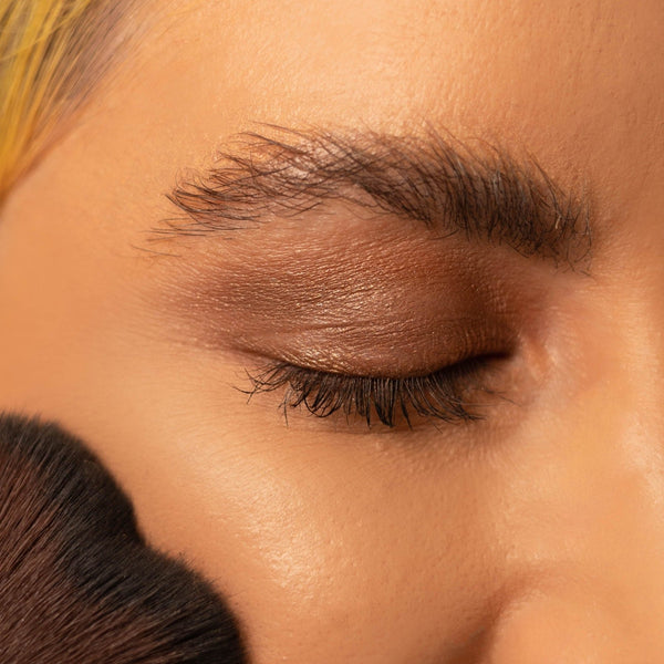 Eco By Sonya Signature Palette