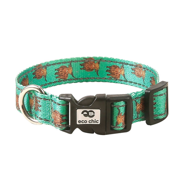 eco chic Eco Chic Recycled Dog Collar - Highland Cow Teal
