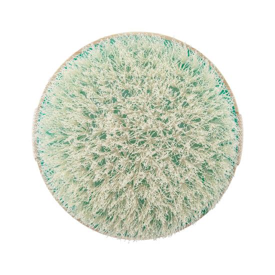 ecotools Limited Edition Dry Body Brush