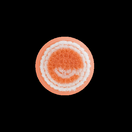 ecotools Mini Cleansing Brush